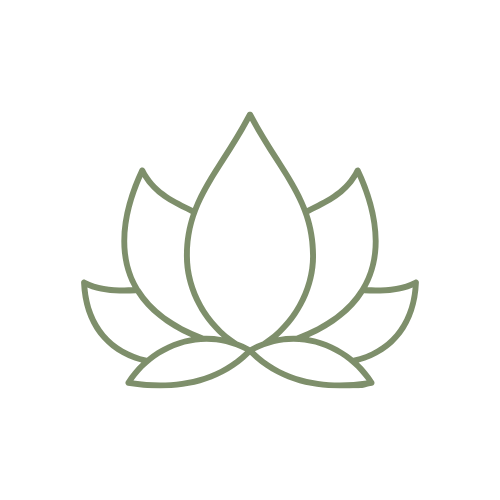 Ikona Chi Nei Tsang - Alkimija telesa in duha